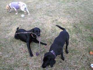 �����͉�������񕗉��������ꏏ��