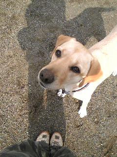 ���傤�����H