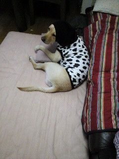 ���́`�c�c�c