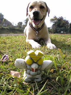 �ǂ��΂��Ȑ���