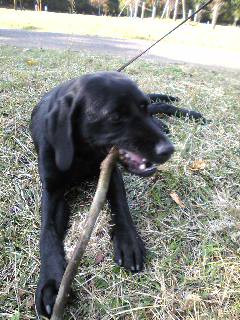 �L�R���̂Ӂ`