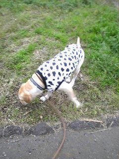 �����������狍