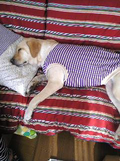 ��������c