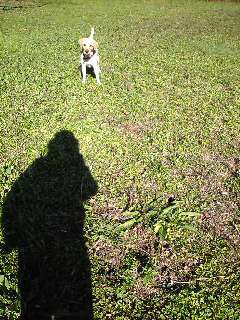 �R���ā` �́@���