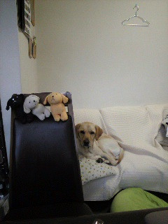 ���Ă܂����Ă܂��Ƃ�