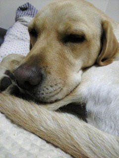 �}���Q ������H