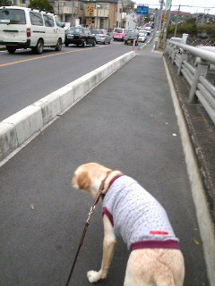 �v�X�ɓ��H���������