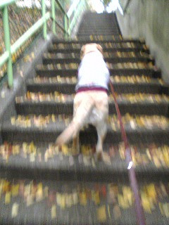 �K�i����ā`