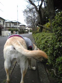 �Z��X�𔲂��ā`