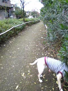 �Γ���ʂ��ā`