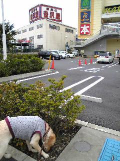 Гꎞԁc